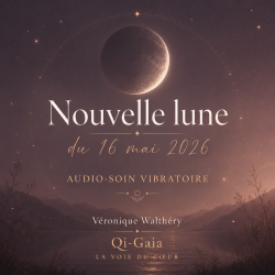 🌑 Audio-soin vibratoire – Nouvelle Lune du 16 mai 2026 🌑
